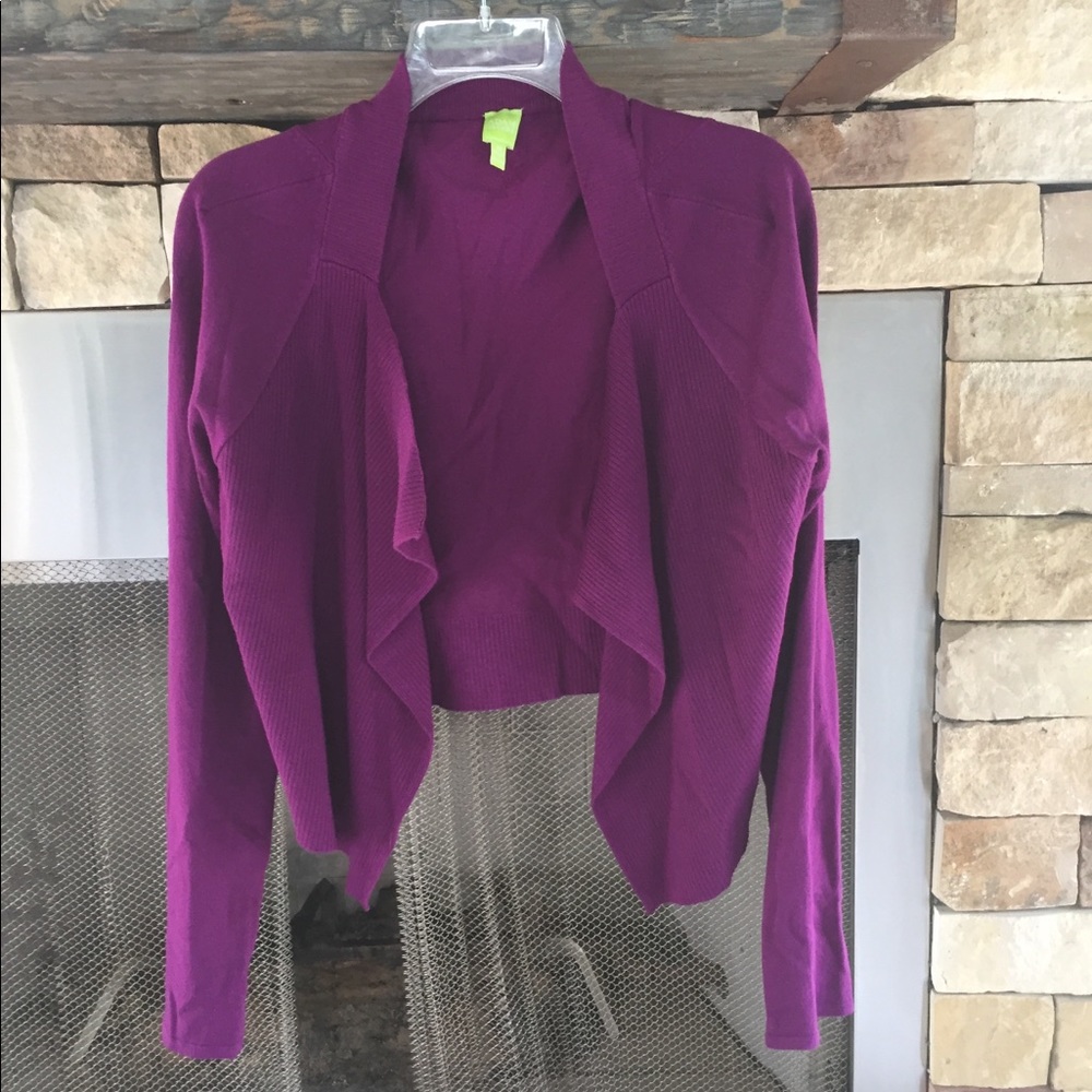Adam Jacobs medium purple sweater
